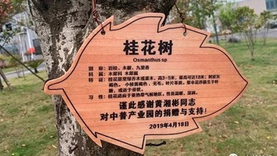 “種”希望！綠化中普，共建美麗家園